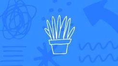 Livestreaming to engage and delight